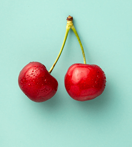 Solusi Enterprise & Integrasi Sistem